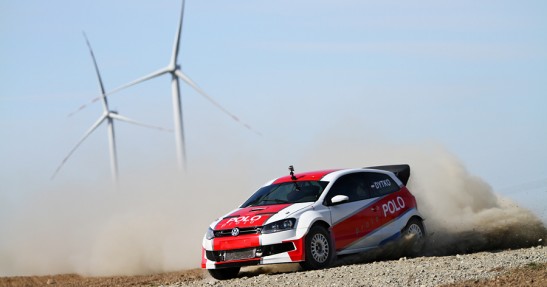 Testy Polo Proto
